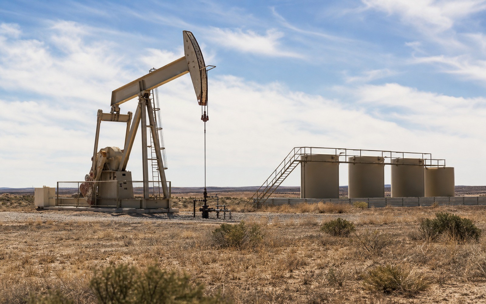Eagle Ford Shale Mineral Rights Eagle Ford Shale Mineral Rights