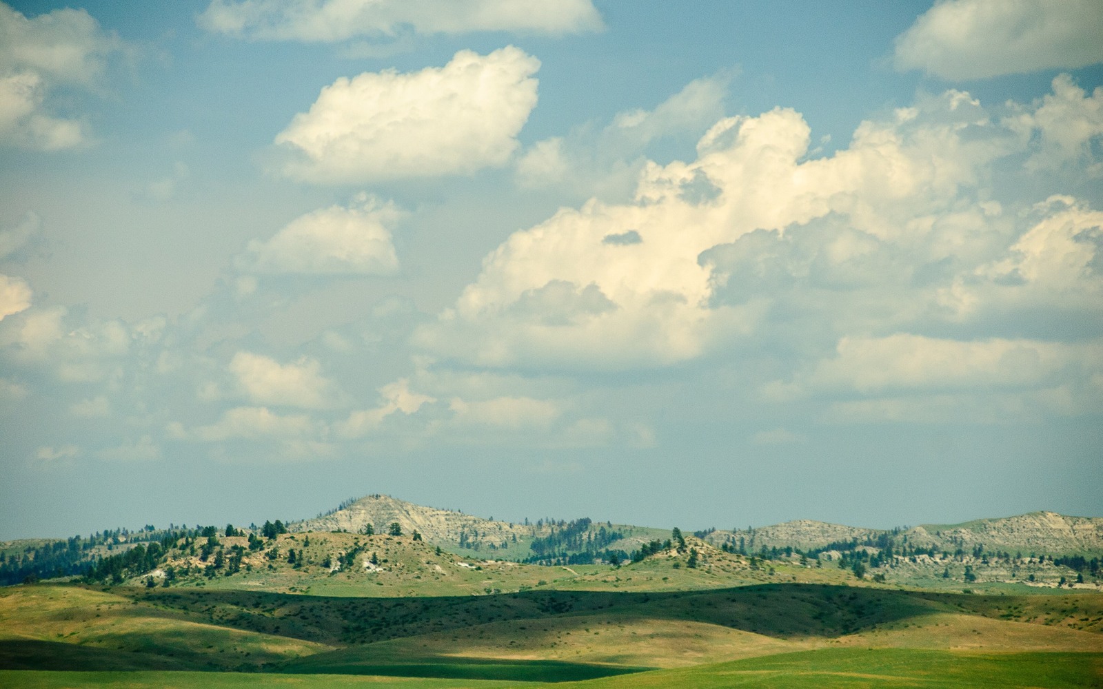 Sell Mineral Rights in Montana