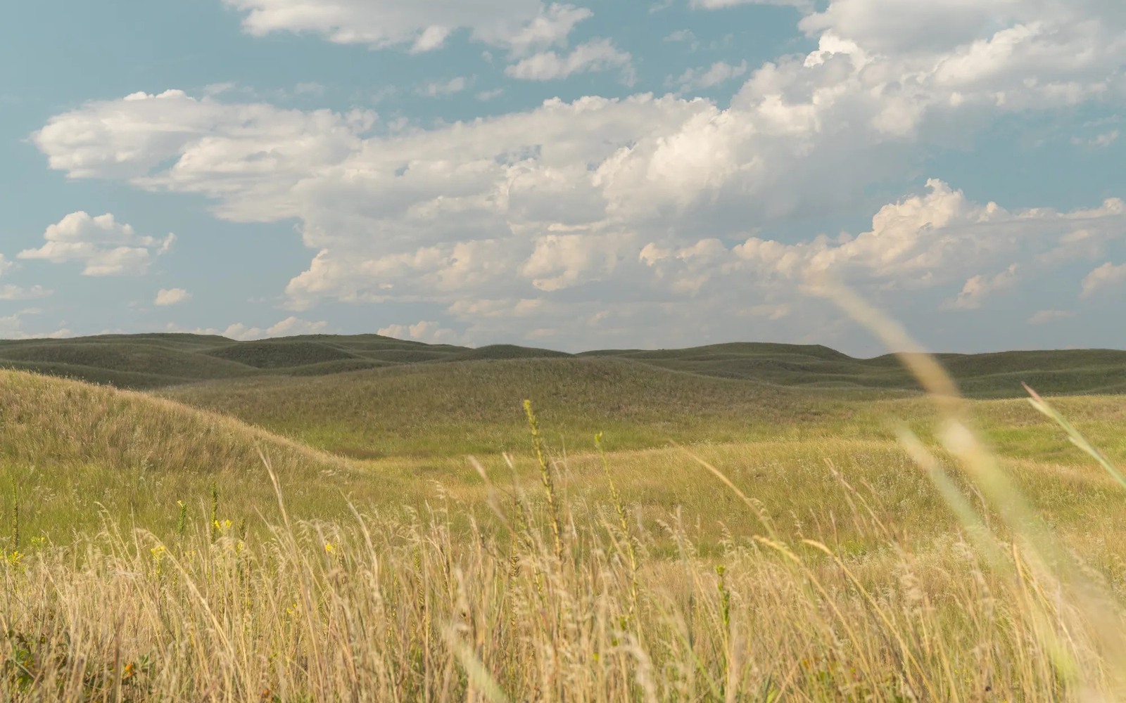Sell Mineral Rights in Nebraska