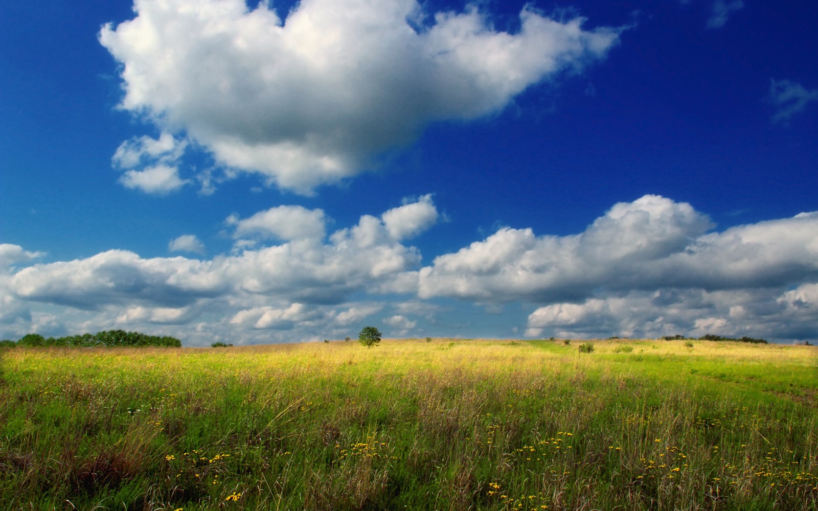 Sell Mineral Rights in Pennsylvania